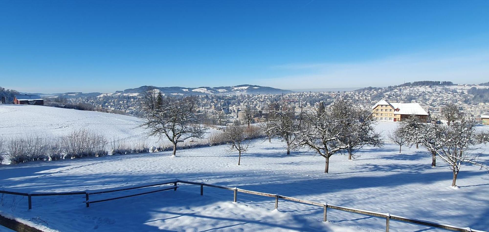 2 Zimmer Zentral-Ruhig Mit Flair Gertrud Schloessli St. Gallen Exterior foto